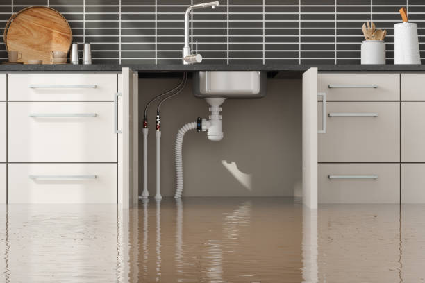 Best Water damage restoration cost  in USA